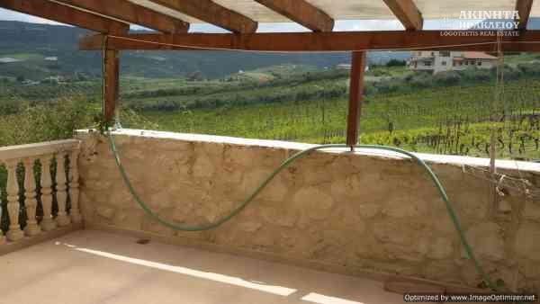 20190420_141059.jpg